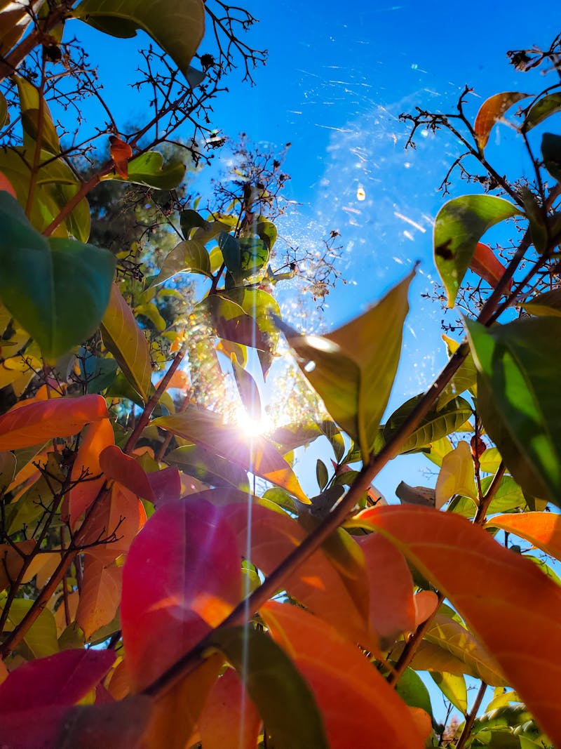 Technicien effectuant la maintenance d'une imprimante grand format