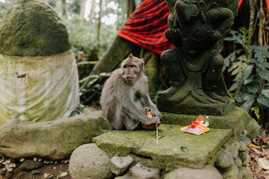 A monkey at a Balinese temple sits near offerings and a Hindu statue