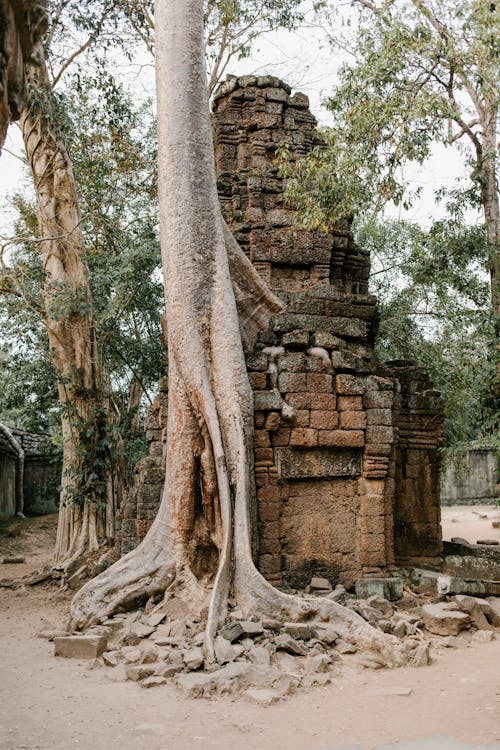 Kostnadsfri bild av angkor, buddhist, historisk