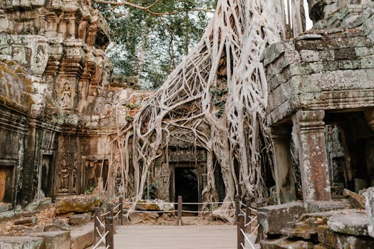 Ancient Ta Prohm temple ruins entangled with tree roots in Angkor, Cambodia, showcasing historical beauty.