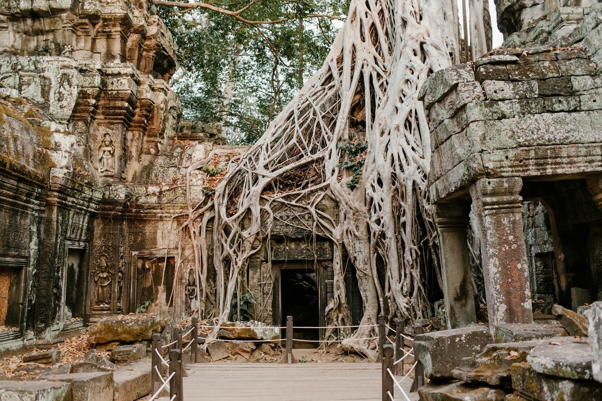 Ruins of Buddhist Temple Ta Prohm in Cambodia