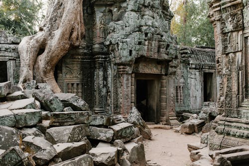 Bâtiment En Béton Gris Près Des Arbres Verts