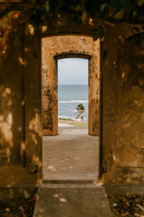 Free Rustic doorway frames a tranquil ocean scene with palm trees under a clear sky. Stock Photo