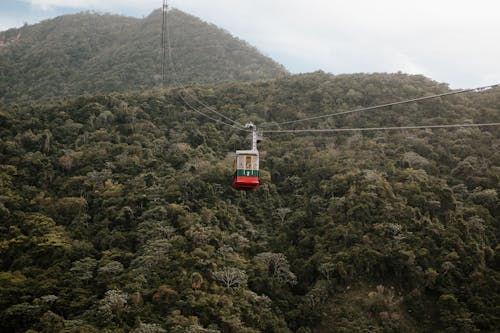 Free Red Cable Car over Green Trees Stock Photo