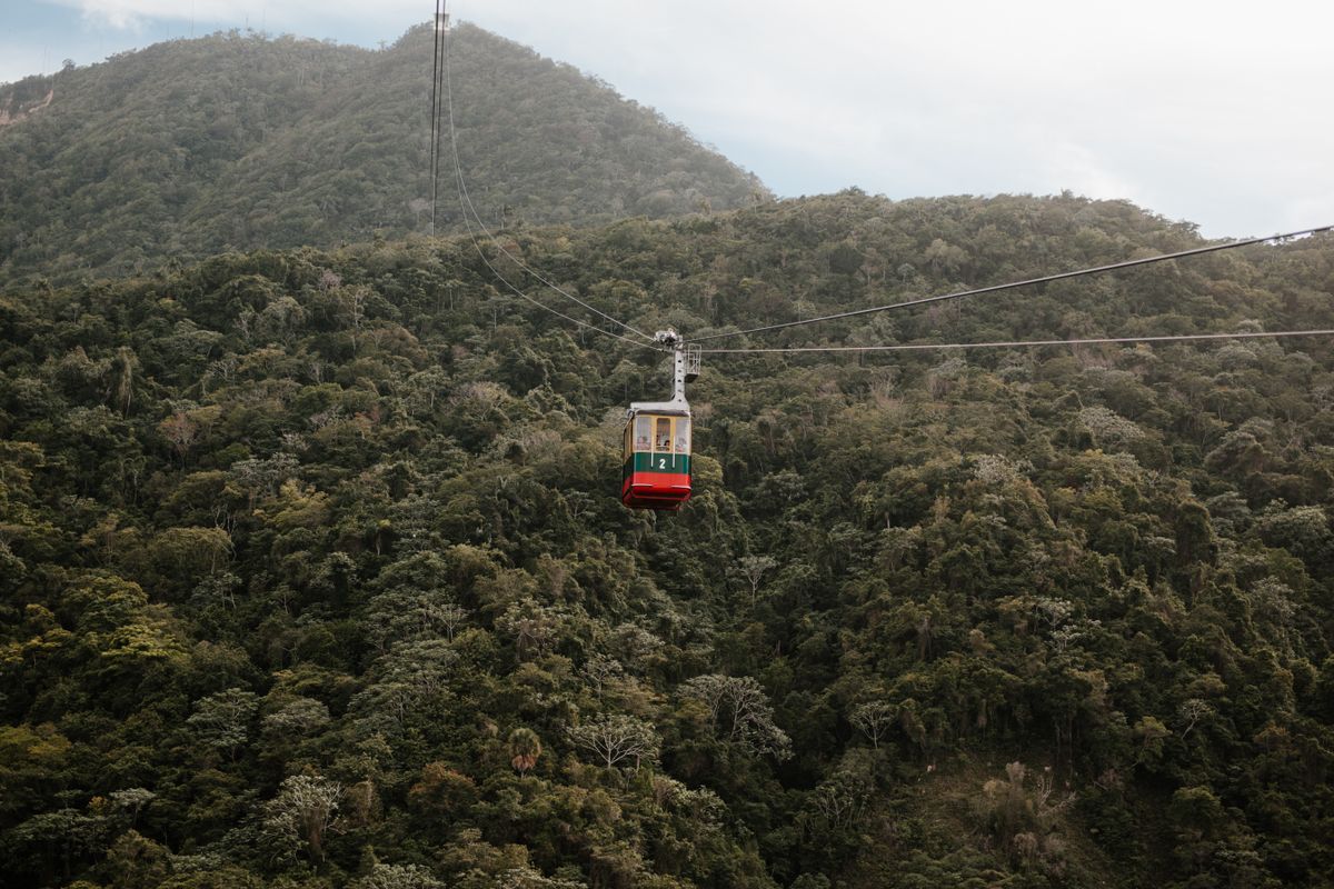Experience a high-altitude cable car journey above verdant hills and dense wilde