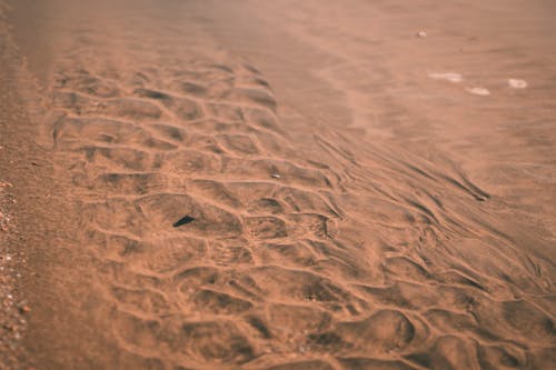 Pattern on a Sandy Beach 