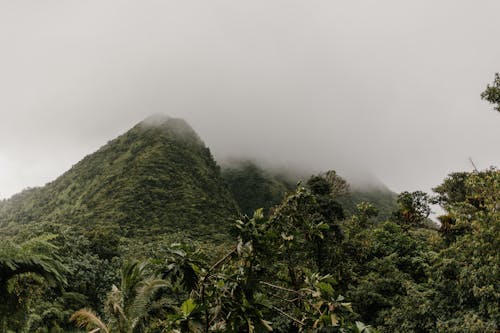 Green Mountains Covered With Thick Fog