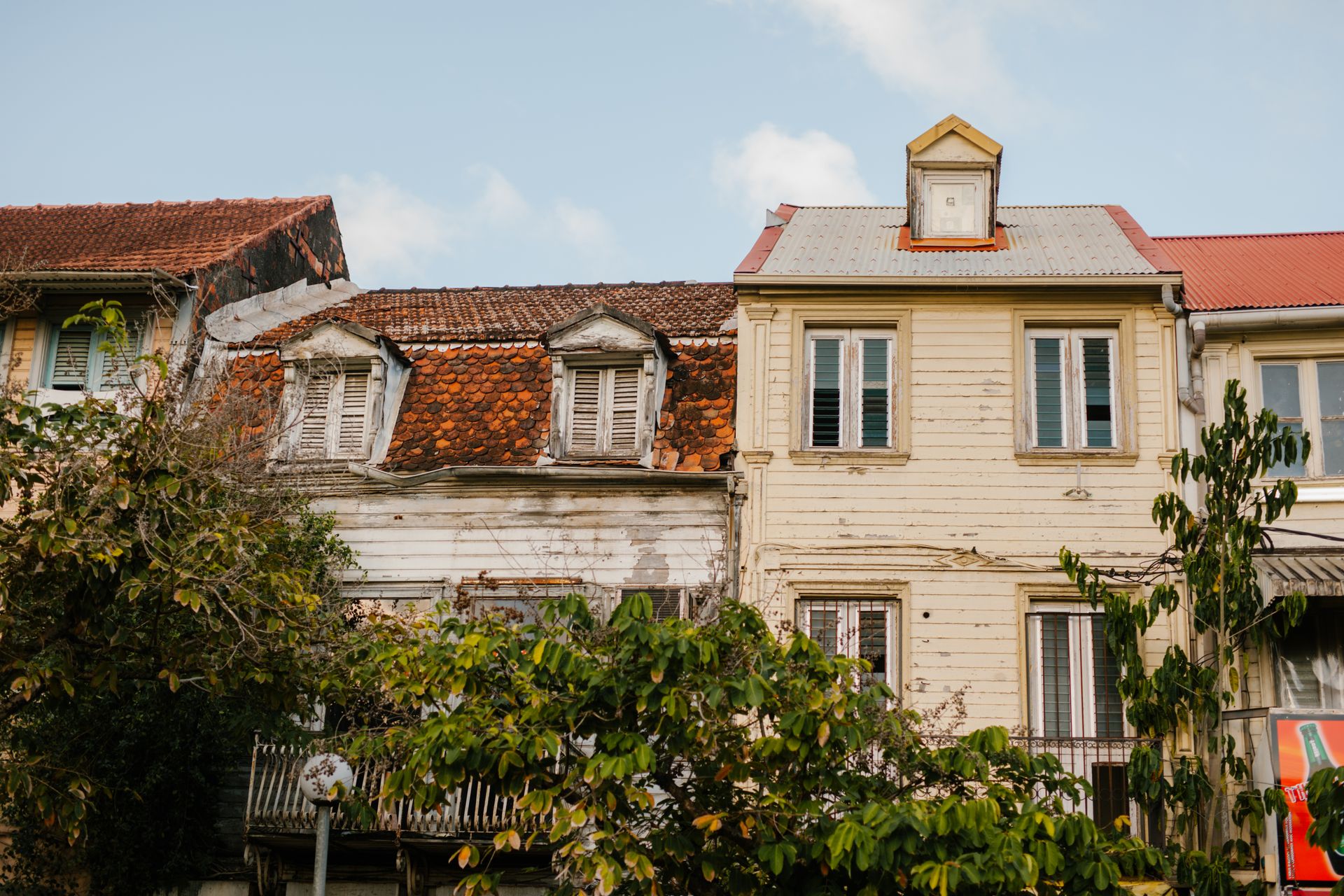 Trees Covering the House