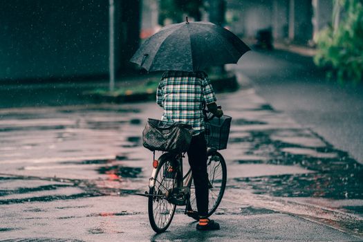 一个人在下雨的街道上撑着伞骑自行车，营造出一种忧郁的氛围
