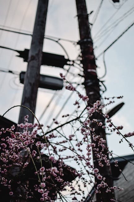 Bend Oregon Electrical Company, Bright Services, Fills The Service Gap Left By The Residential Electrician Shortage