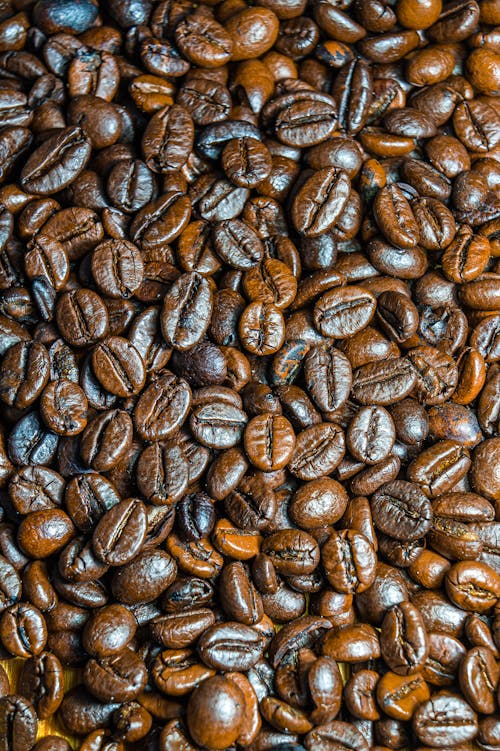 Free Close Up Photography of Brown Coffee Beans Stock Photo