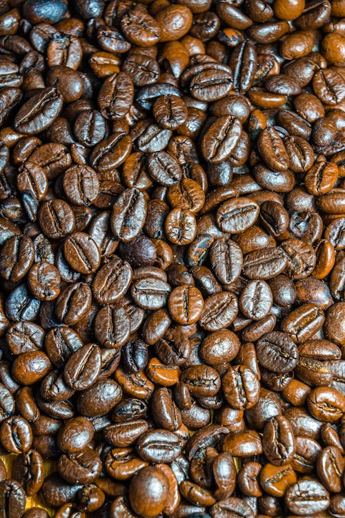 Close Up Photography of Brown Coffee Beans