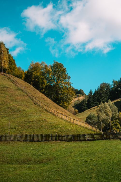 Free Scenic hillside view with vibrant green fields and blue sky, perfect for nature photography. Stock Photo