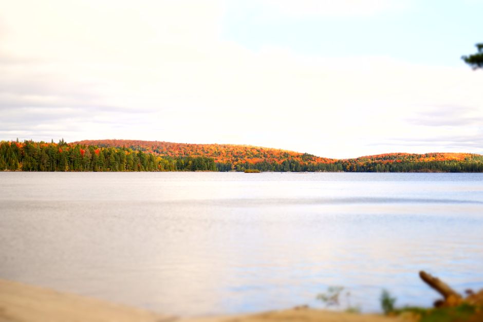 Algonquin Leaders Push Quebec for Voice in Mining Claims on Their Land