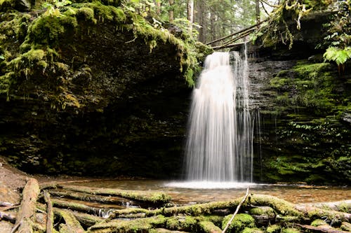 Free Waterfalls in the Middle of the Forest Stock Photo