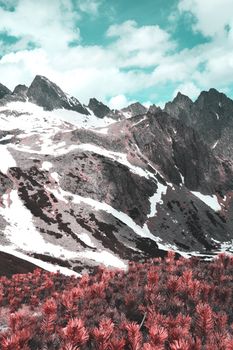 Breathtaking winter scenery of the Vysoké Tatry mountains in Slovakia, showcasing snow-covered peaks and unique flora.