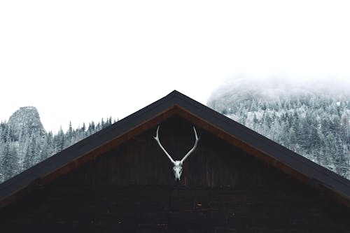 Fotobanka s bezplatnými fotkami na tému Alpy, chladný, drevený