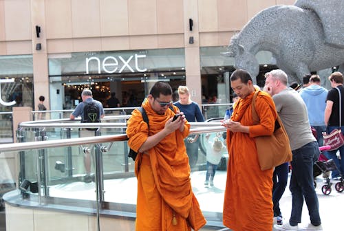 Free stock photo of advanced, buddhist, crowd