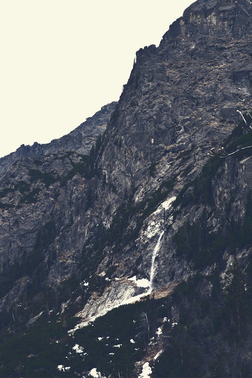 Foto d'estoc gratuïta de a l'aire lliure, alpinisme, arbres