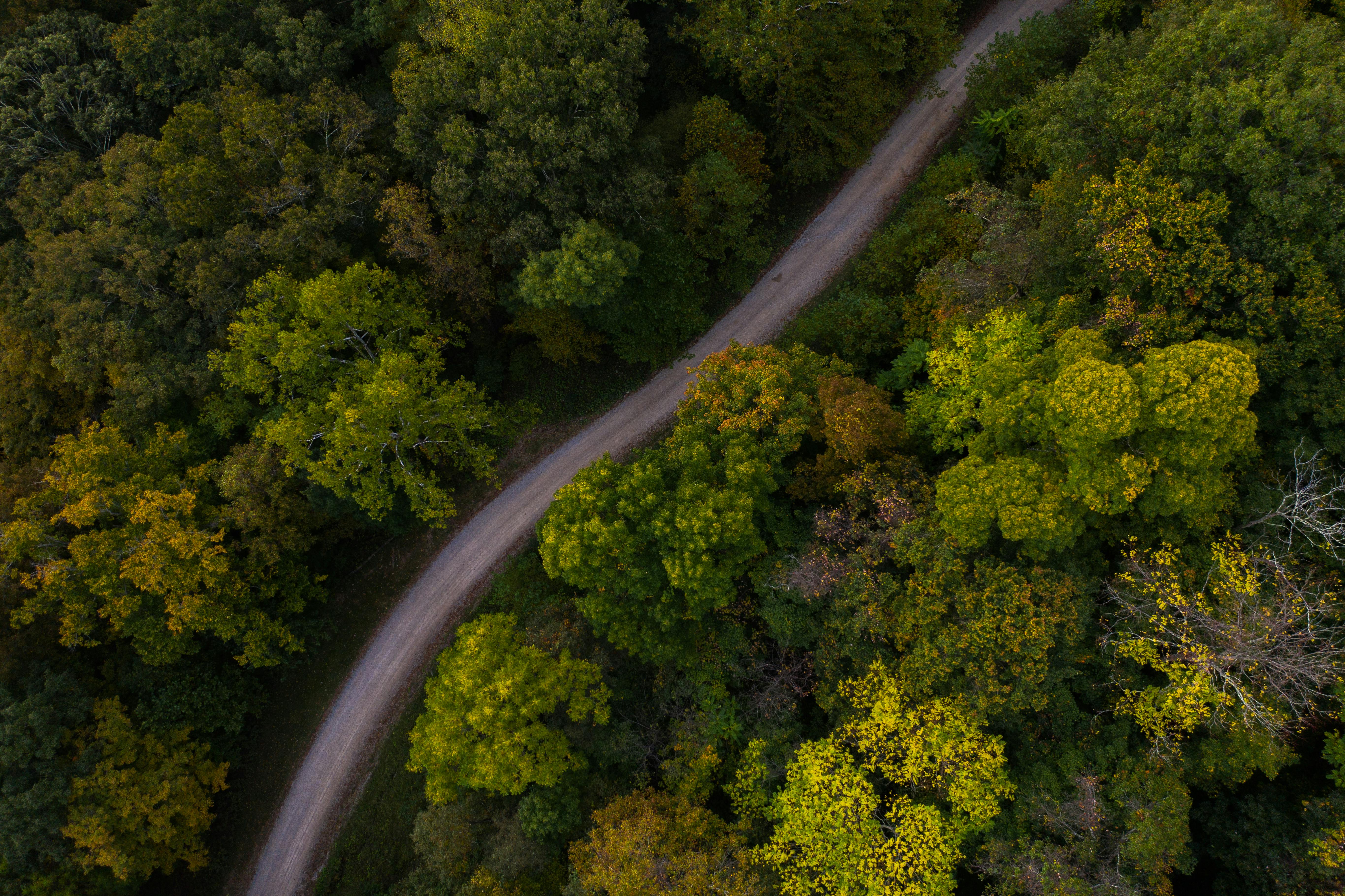 Hall Bend Small Wild Area offers outdoor recreation in Loudon County — Photo by Mason Conrad on Pexels