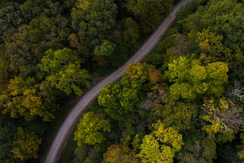 Drone Shot of a Dirt Road