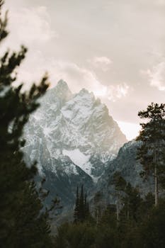 A breathtaking view of the snow-covered mountain peak surrounded by dense forest in winter.