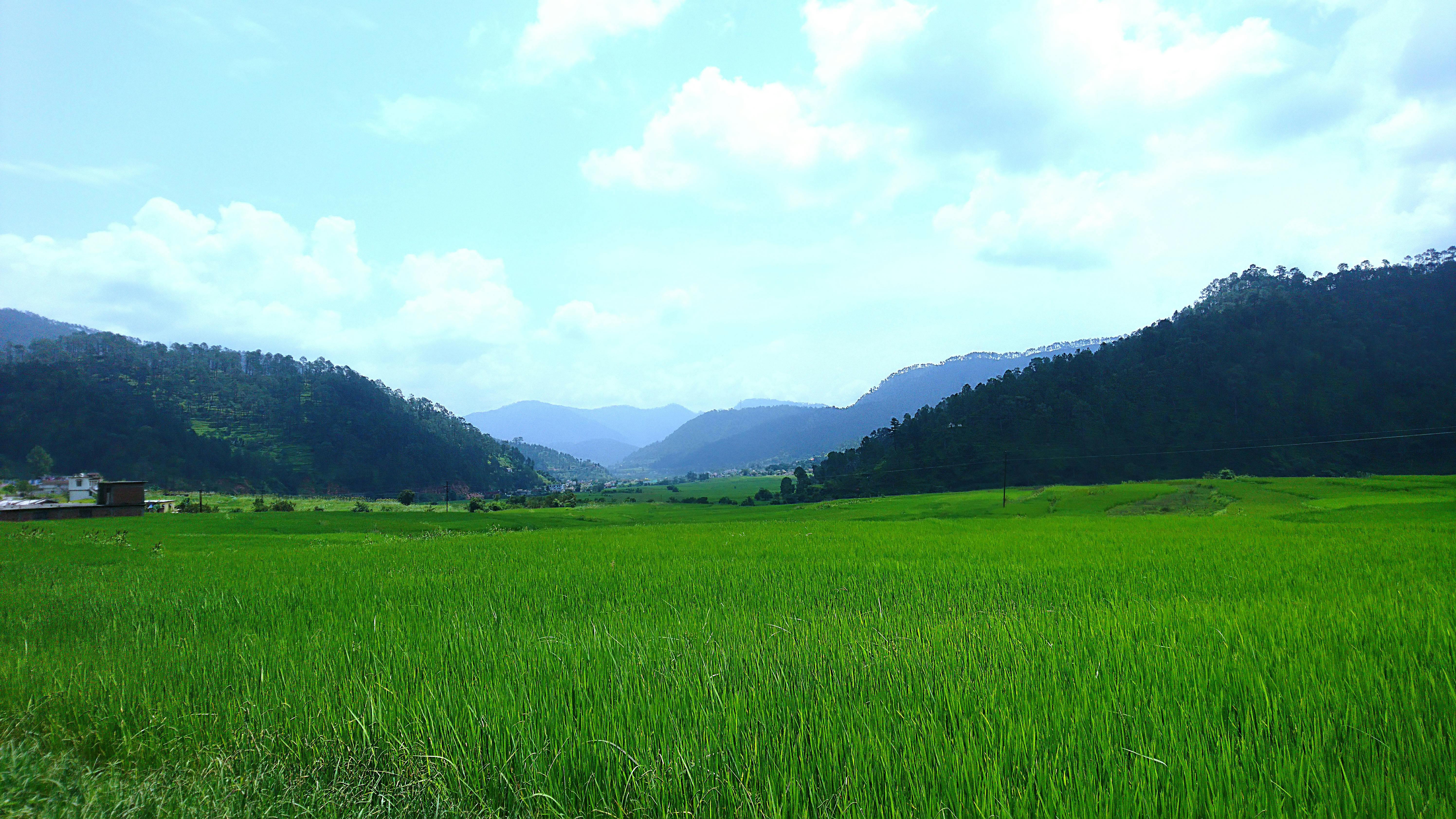 pexels-photo-577272.jpeg?auto=compress&cs=tinysrgb&h=750&w=1260&dpr=3