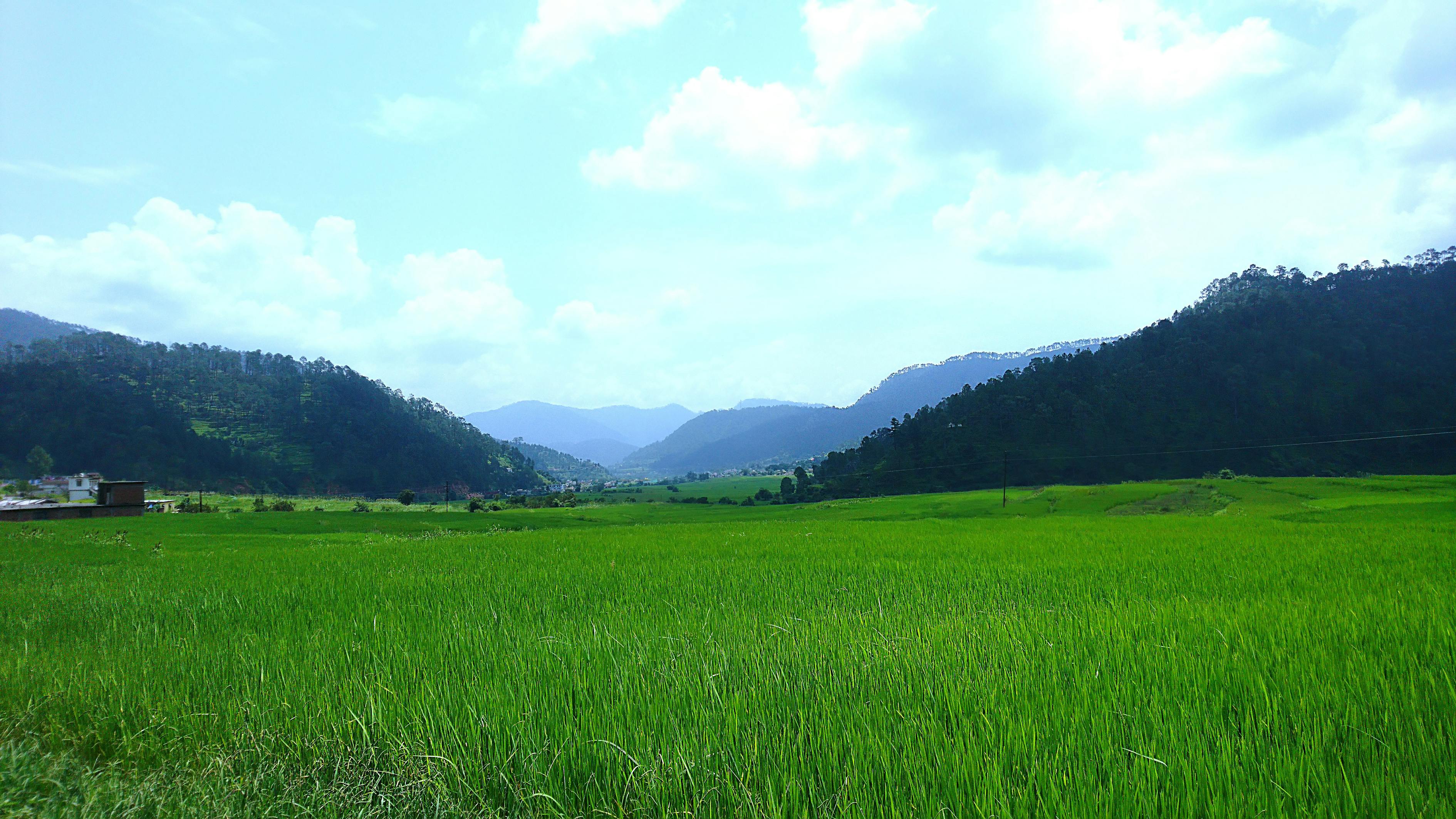 greenphoto pexels-photo-577272.jpeg?auto=compress&cs=tinysrgb&h=750&w=1260&dpr=3