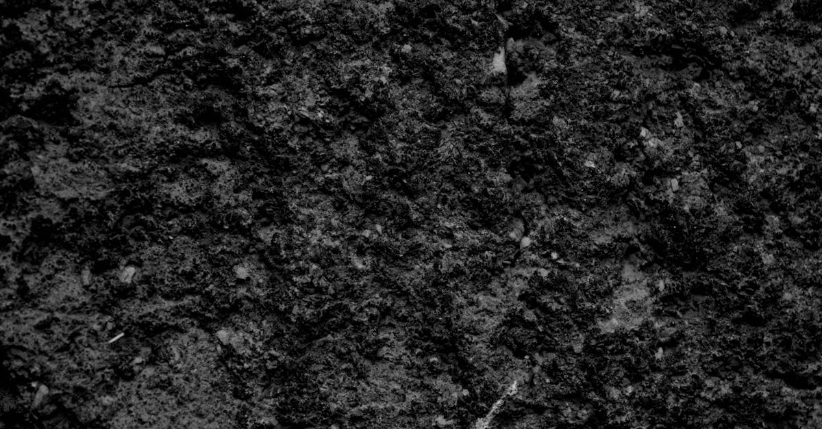 Free stock photo of black, black and white, black wallpaper
