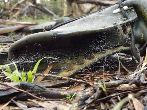 Free stock photo of boots, spider web