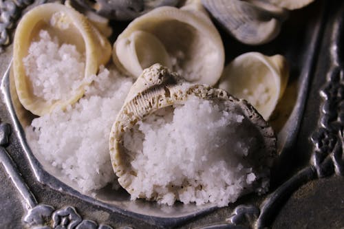 Foto profissional grátis de alimento, concha do mar, conchas
