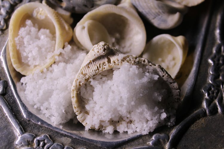 Sea Salt In Shells 