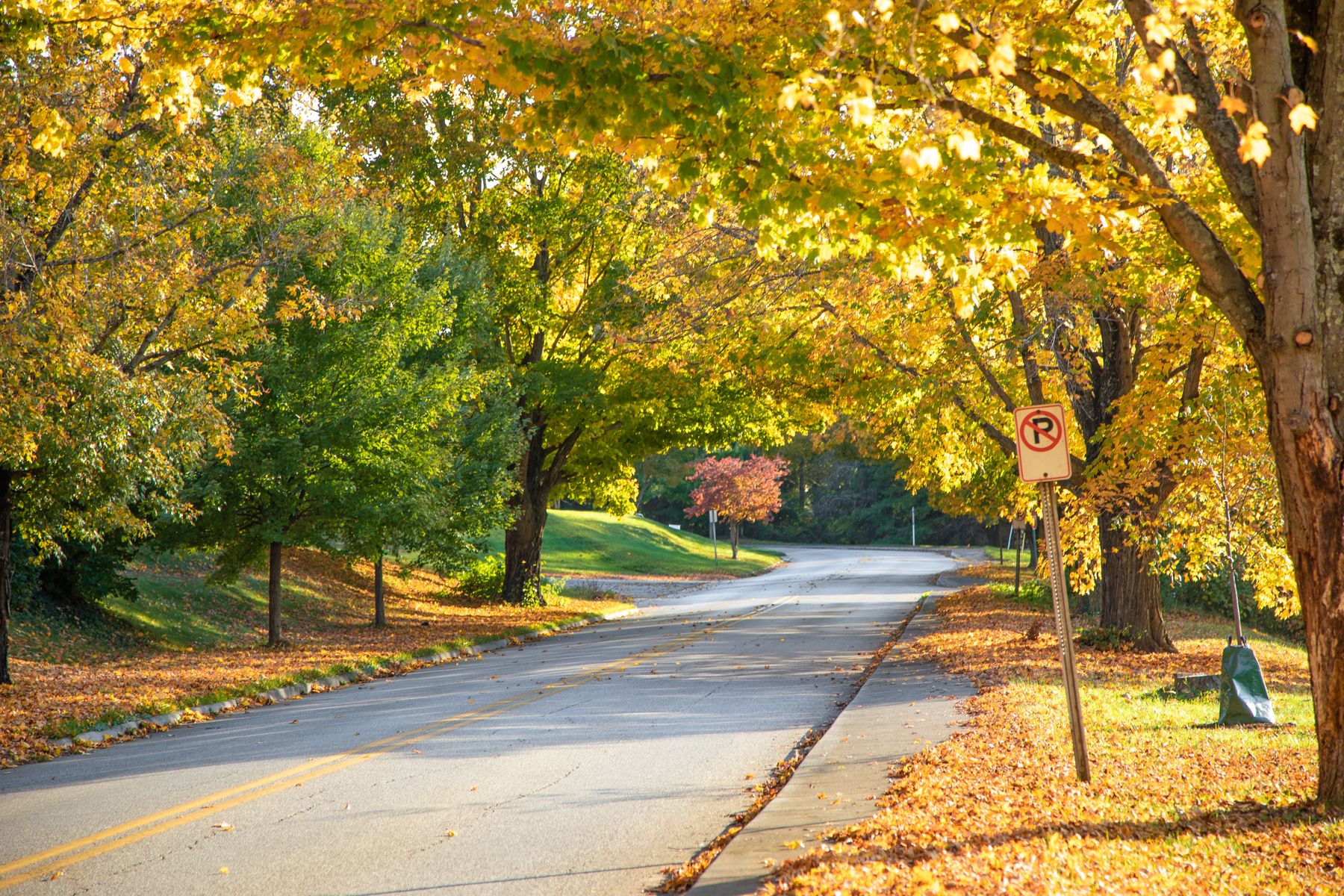 Saratoga Springs in October: Weather and What's On