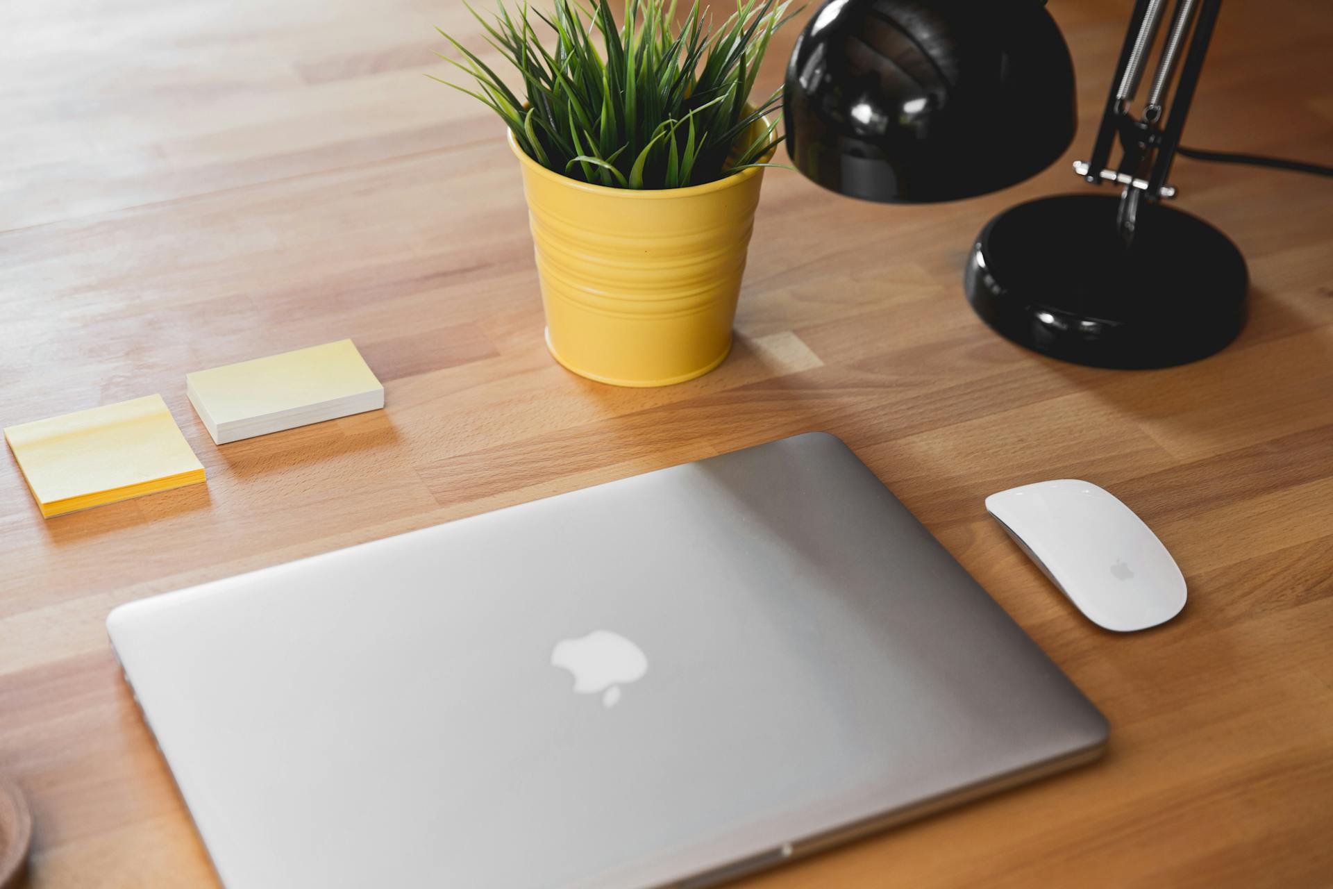 Macbook Beside Apple Magic Mouse