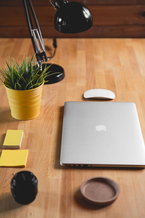 Silver Macbook Beside Apple Magic Mouse on Table