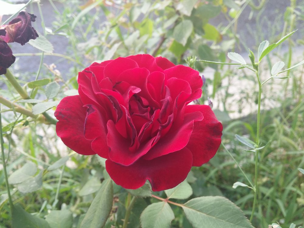 LangChain vs LlamaIndex vs AutoGen: Which Open-Source AI Framework Should You Build On in 2026? - LangChain Architecture: Modular Chains, LangGraph, and Ecosystem Integrations