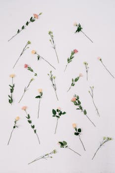 Minimalist flat lay of assorted blooming flower stems on a white surface.