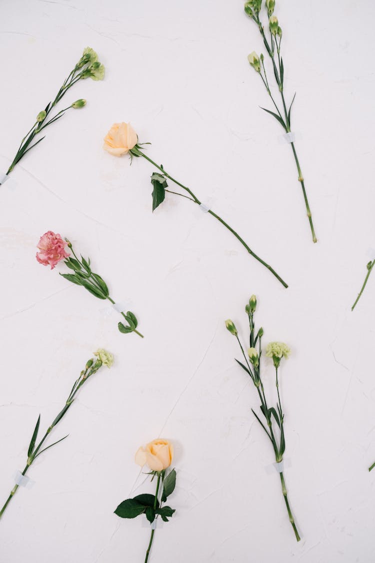 Assorted Flowers On White Surface