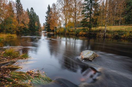 Free Tranquil river flowing through a colorful autumn forest with long exposure. Perfect for nature lovers. Stock Photo