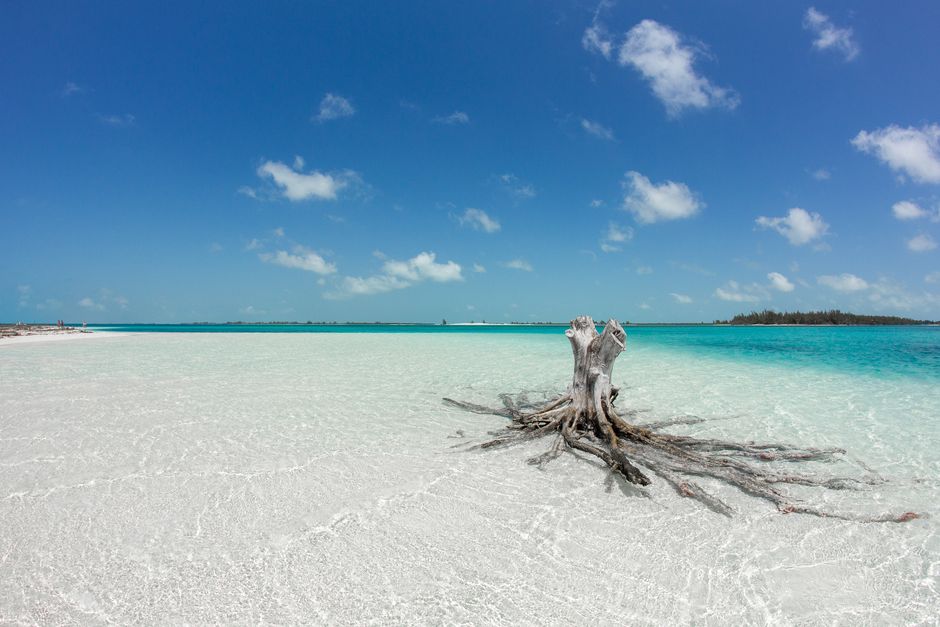 Naples, Florida: The Perfect Escape for Ottawa Snowbirds