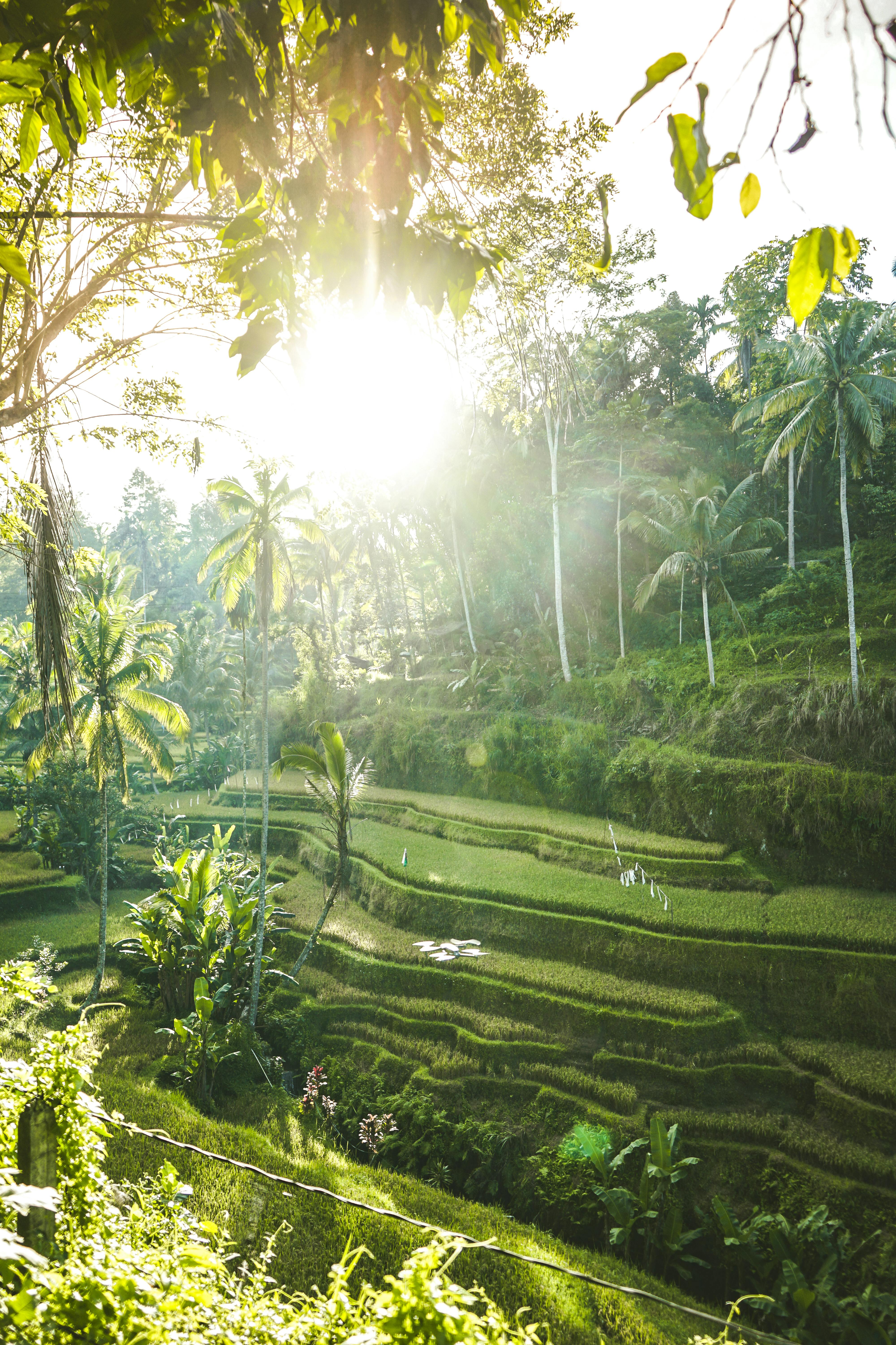 COTSEAL community at SEASSI