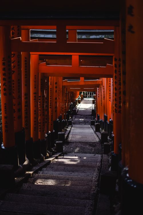 Torii Gates Pathway at Fushimi Inari Shrine · Free Stock Photo