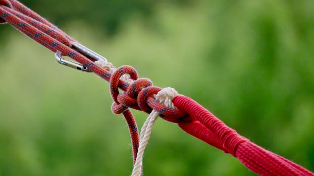 Detailed view of a climbing knot with ropes and carabiner outdoors.