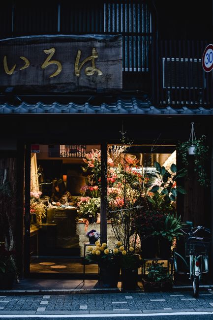 A cozy flower shop in Kyoto, Japan, beautifully lit with a display of vibrant plants and traditional signage.