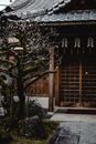 一幅宁静的图像，展现了日本京都木制寺庙入口与落叶树