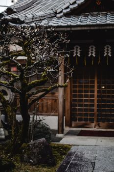 一幅宁静的图像，展现了日本京都木制寺庙入口与落叶树