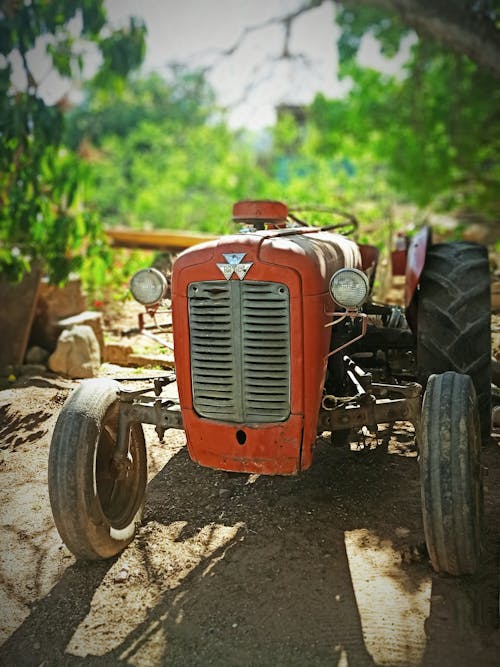 Free stock photo of farming, massey ferguson, tractor