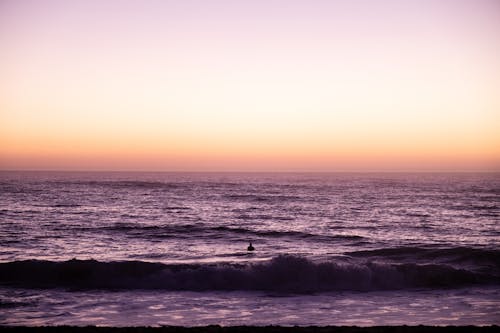 Δωρεάν στοκ φωτογραφιών με ακτή, άνθρωπος, θάλασσα