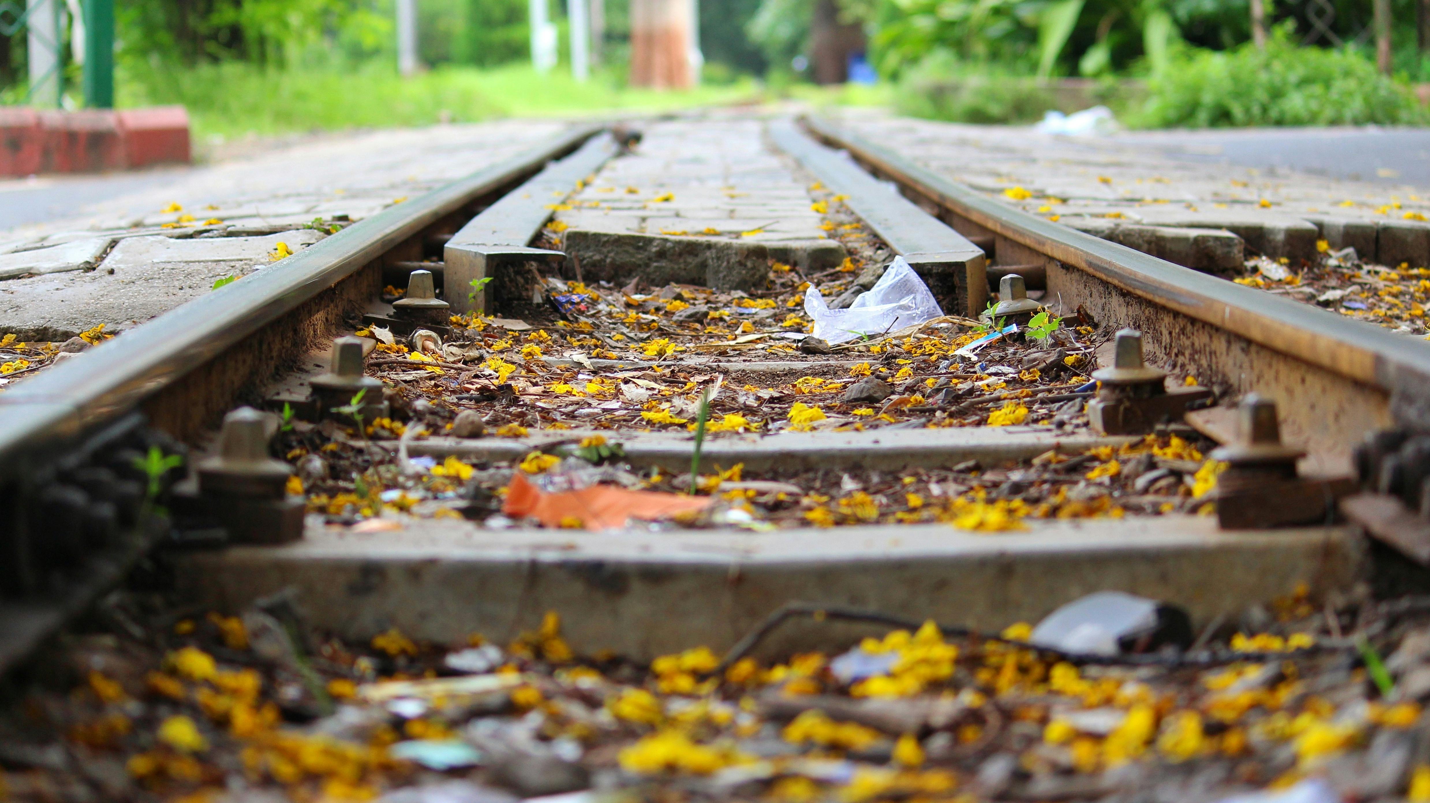 Free stock photo from Tejas · Pexels