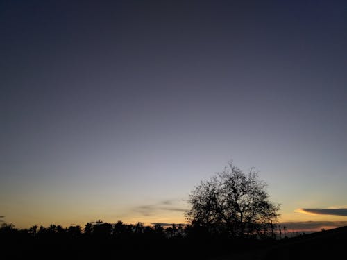 Free stock photo of evening sky, landscape, nature